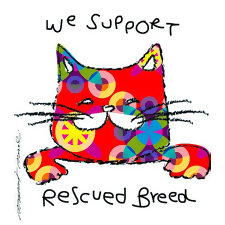 Supporting Rescue Kitties
