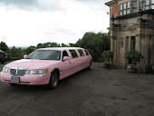 pink limo wedding