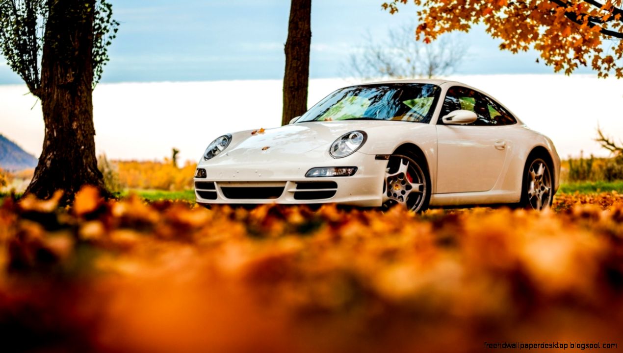Porsche 911 White Autumn Hd Wallpaper  Wallpaper List