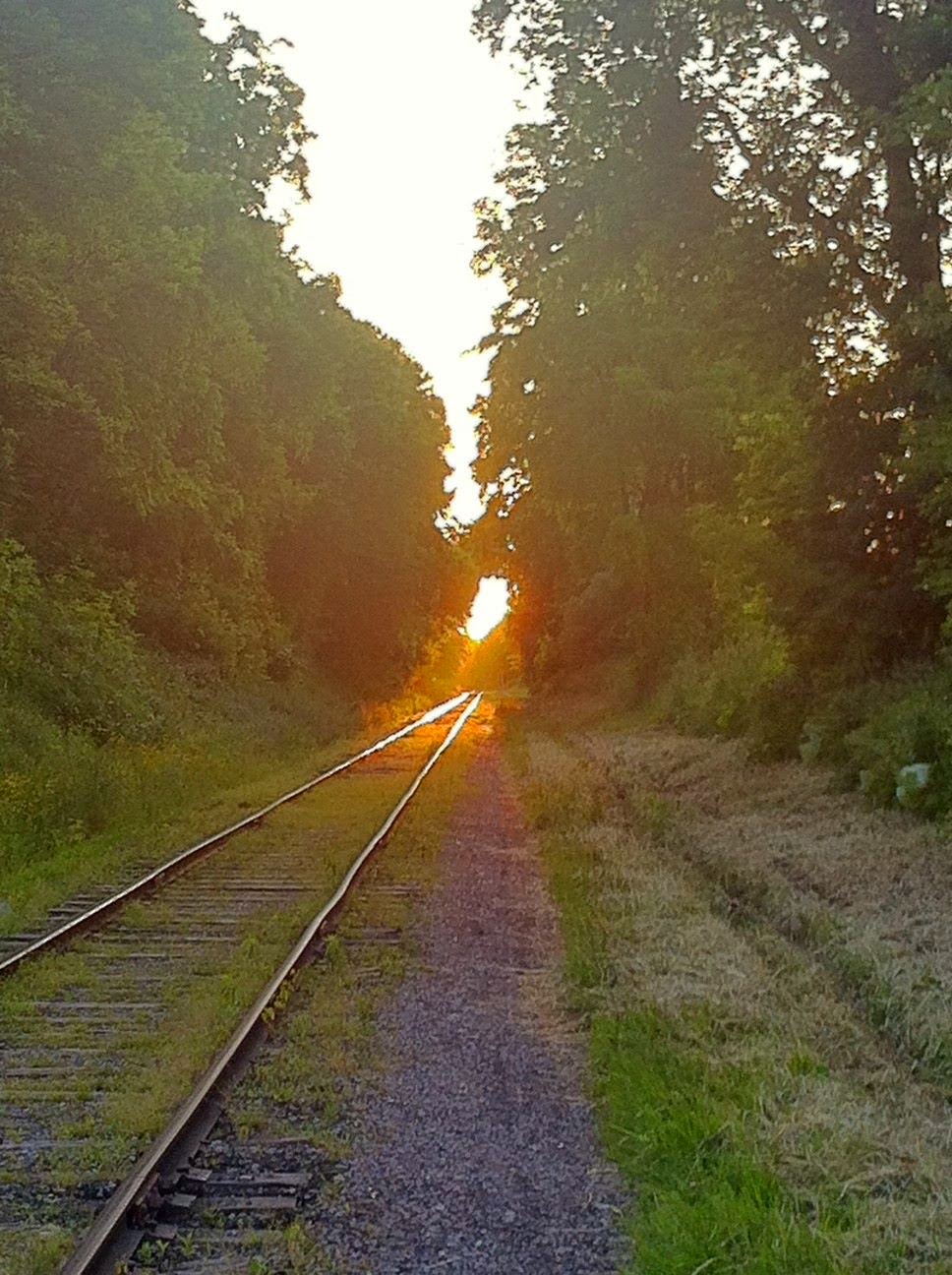 THE BLOG for Mt Hope Breithaupt Park Neighbourhood Association Spur Line Trail information