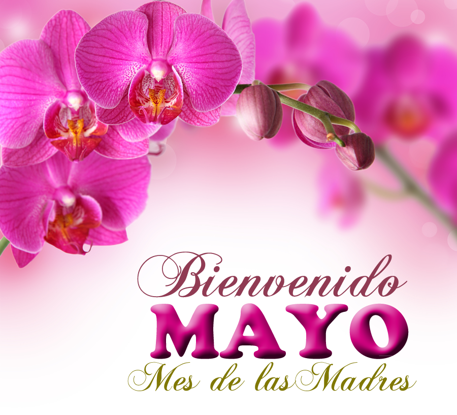 Bienvenido+Mayo+día+de+las+madres+10+de+mayo+postales+con+mensajes.png (900×817)