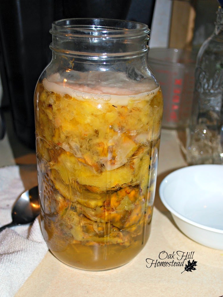 Pineapple Vinegar Oak Hill Homestead