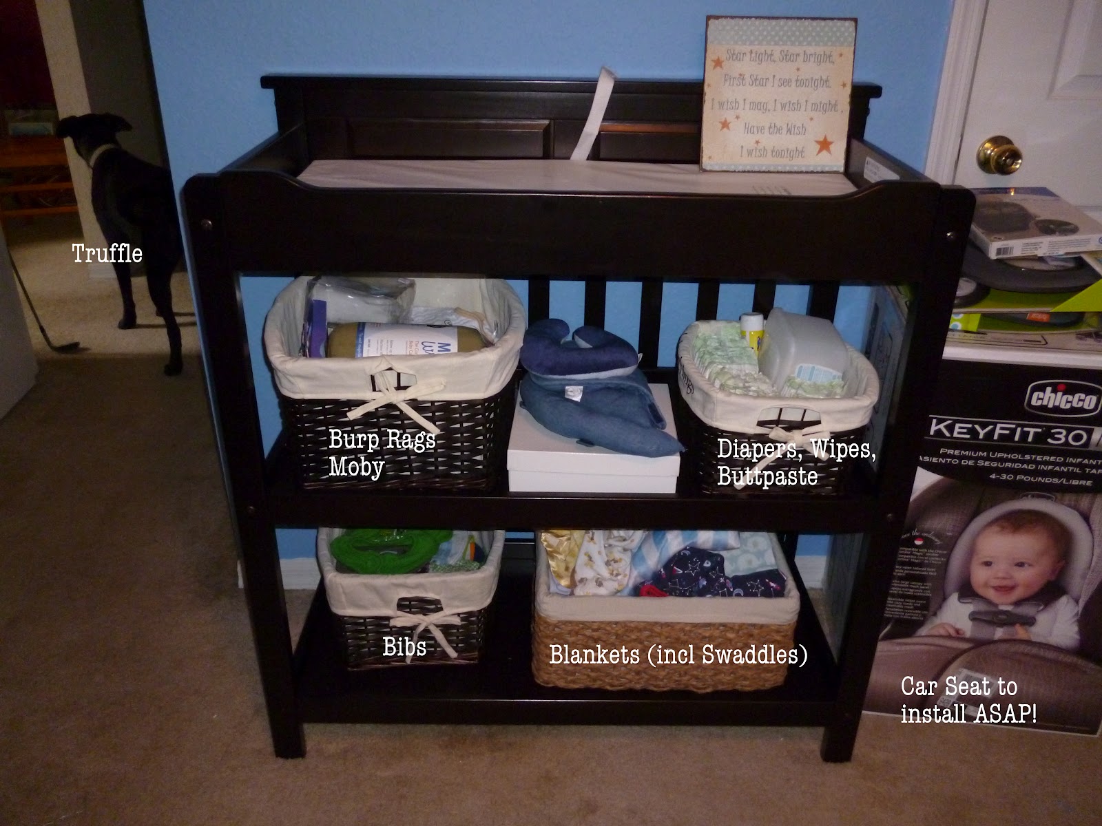 Two Preps in a Pod Nursery Organization