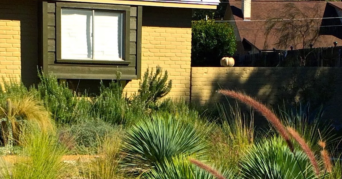 Sharing Nature's Garden: Another beautiful San Antonio garden to share...