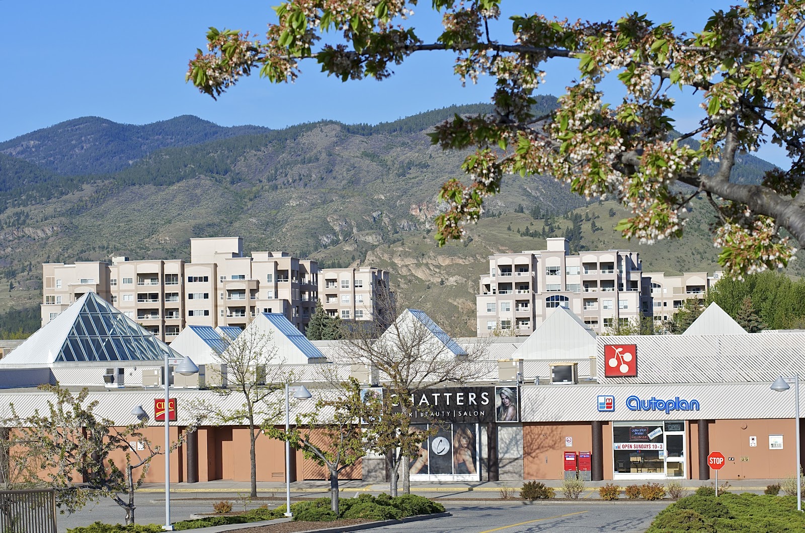 PENTICTON COMMENTARY Another This and That Post