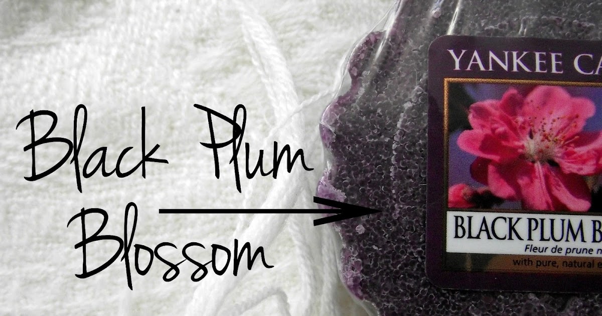 YANKEE CANDLE BLACK PLUM BLOSSOM Moja Osobistoscpomid