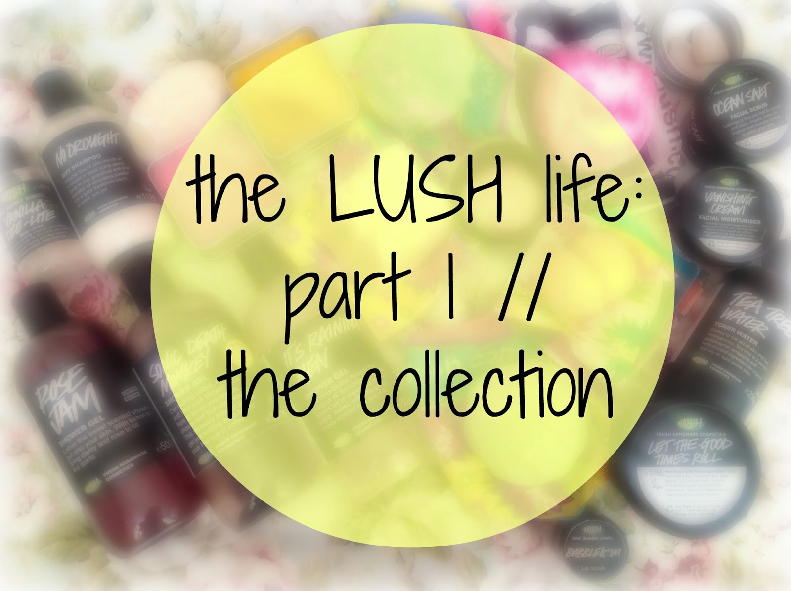 daniela scribbles • The LUSH life part 1 // the collection