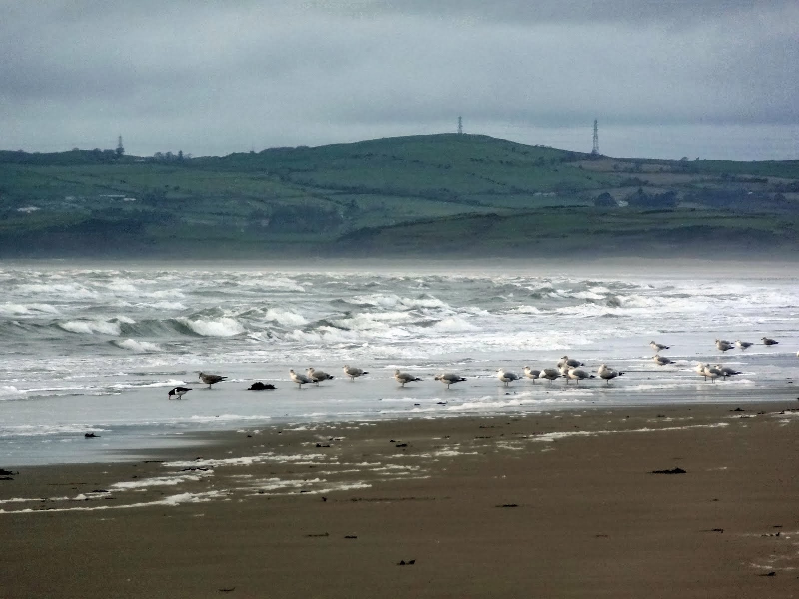 Harlech Beach