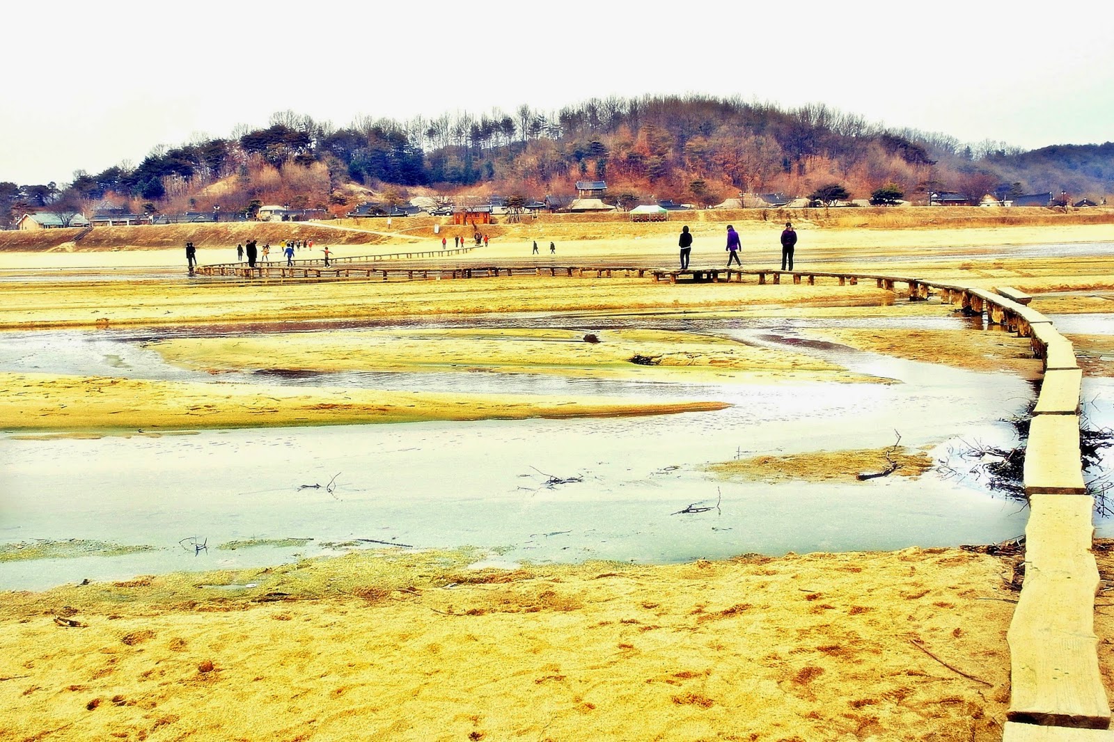 S-shape Single Museom Single Log Bridge (무섬외나무다리) Yeongju Museom Single Log Bridge Yeongju Museom Single Log Bridge (무섬외나무다리)무섬외나무다리 | meheartseoul.blogspot.com