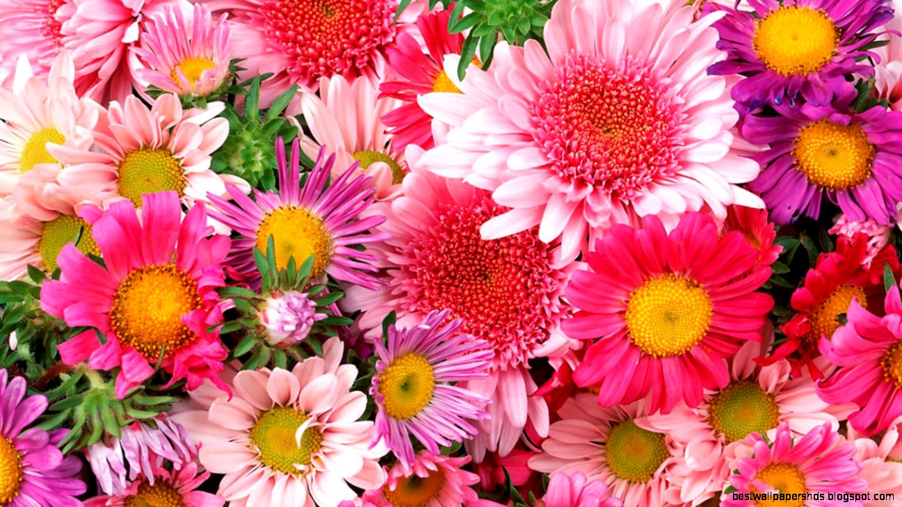 Flower Wallpaper Desktop 548 Awesome Flower Wallpaper Desktop 548 Awesome