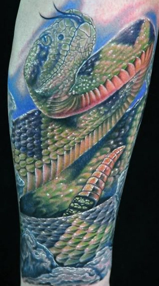 Picture of snake tattoo