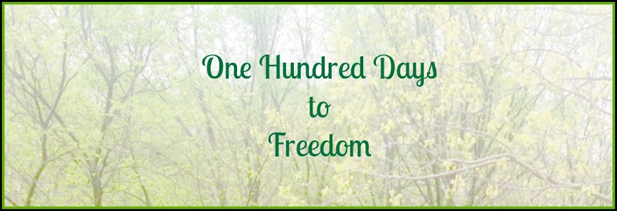 One Hundred Days to Freedom - Christian Weight Loss