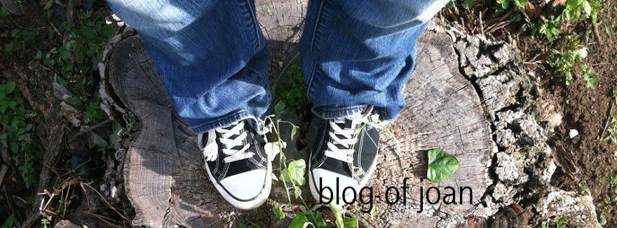 blog of joan