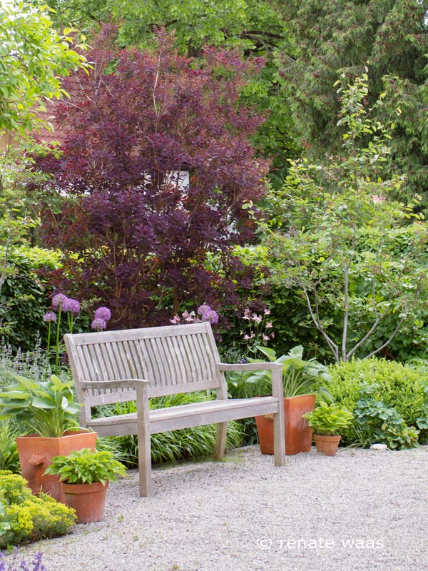 Gartenblog GeniesserGarten Kieswege Wassergebundene