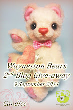 Wayneston Bears 2nd Blog Give-away!