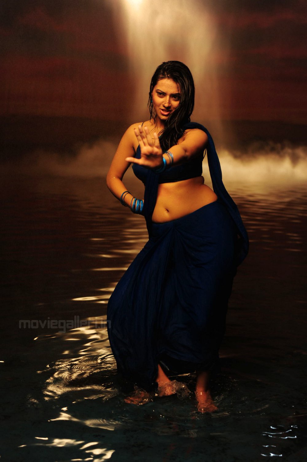 Isha Chawla Saree