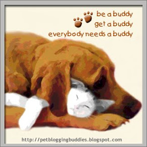 Everybuddy needs a buddy