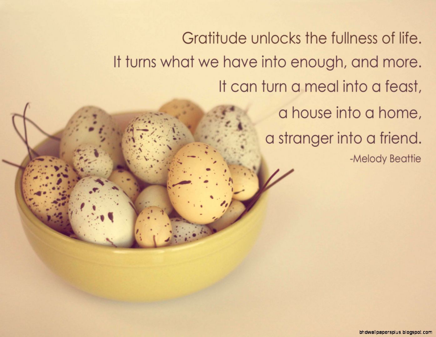Quotes About Gratitude Quotes About Gratitude
