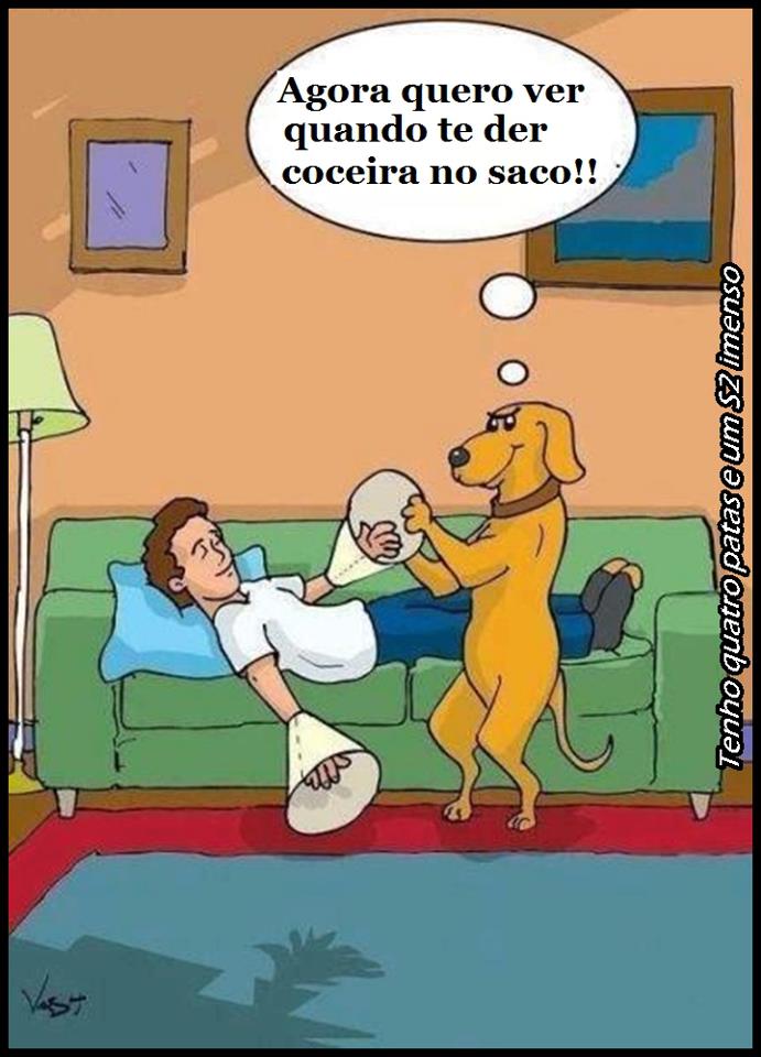 Imagens Legais
