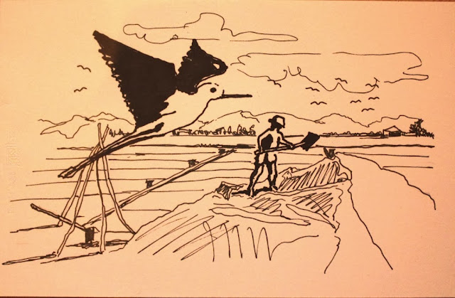 Cervia%2520Lavorazione%2520del%2520sale%2520nella%2520salina%2520Camillone%25201960M