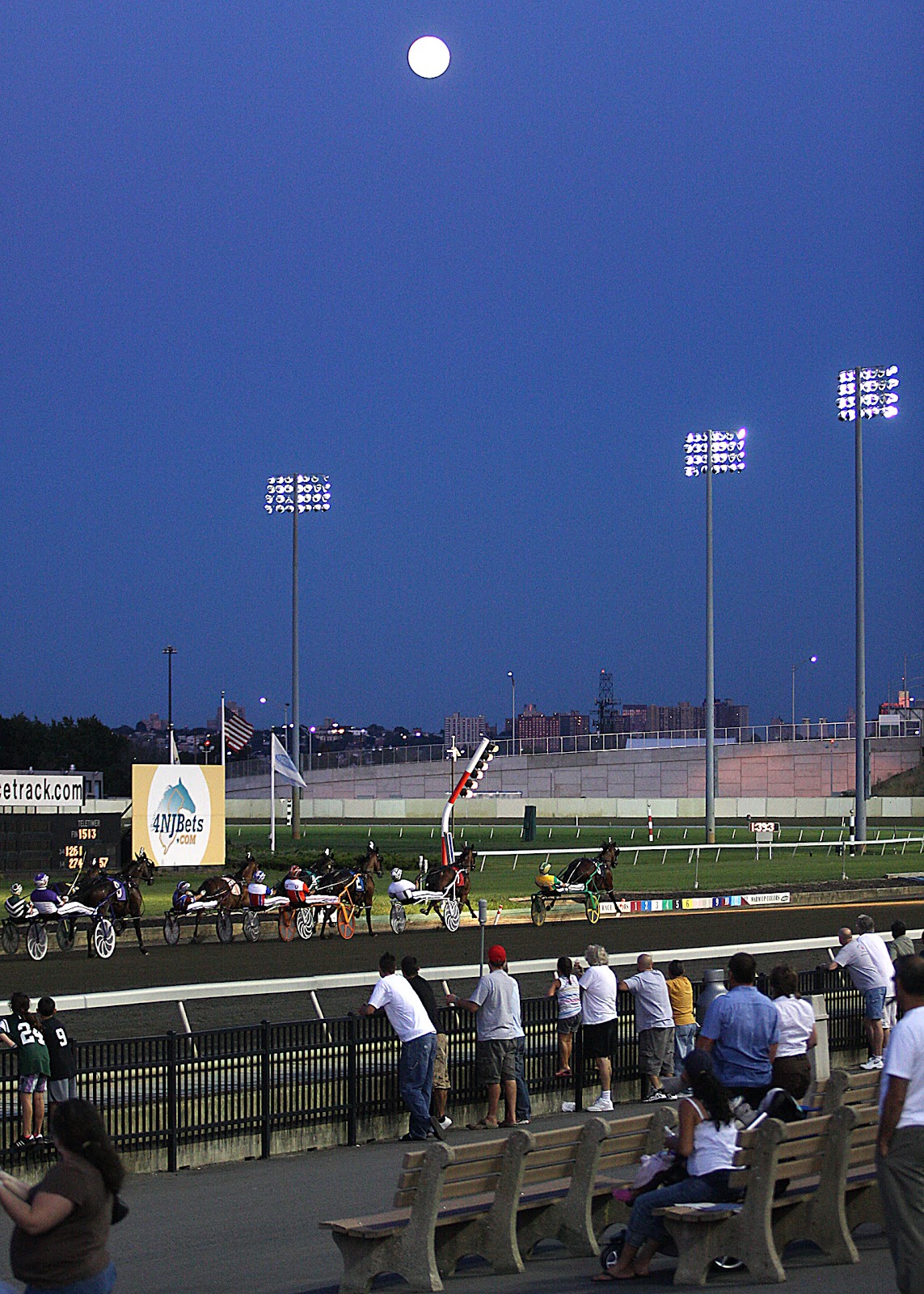 WITH THE FIELD Harness Racing Meadowlands
