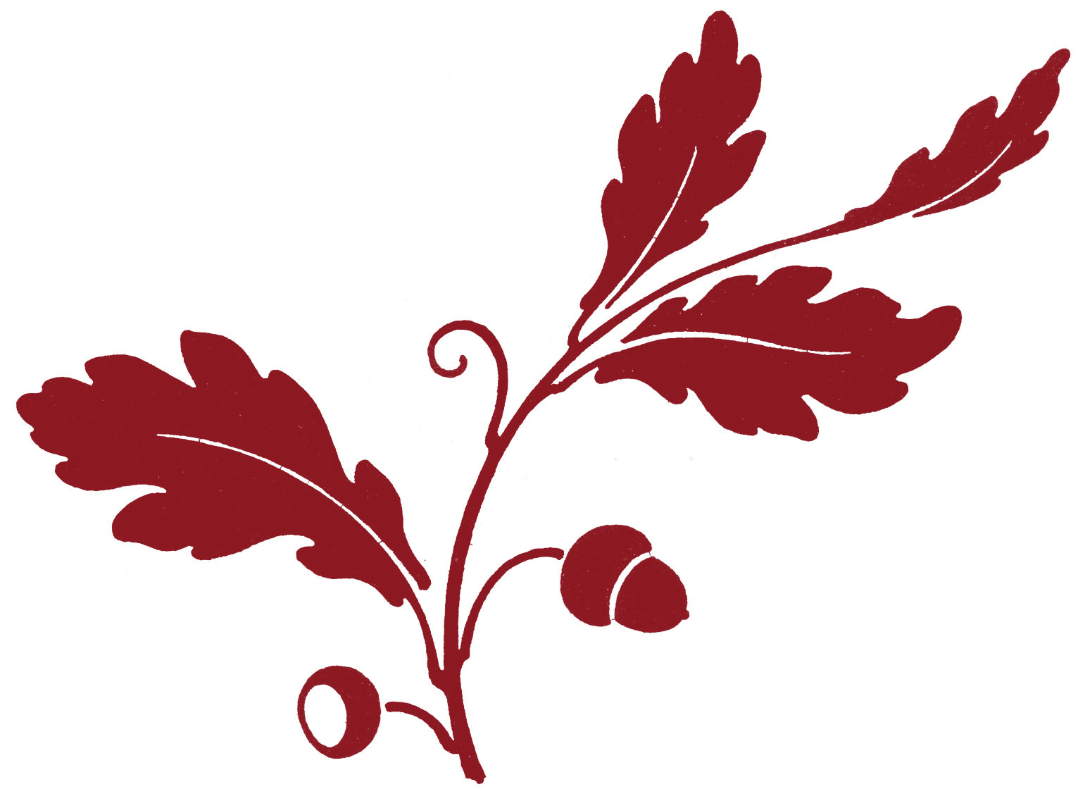 Acorns Clip Art