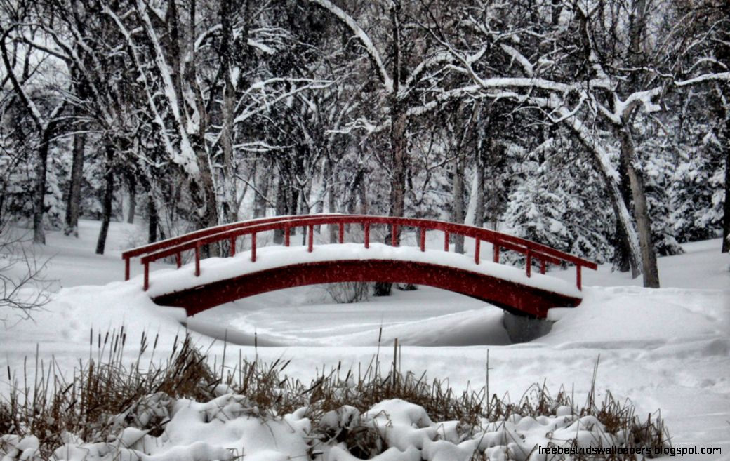 winter wonderland   Free Large Images winter wonderland   Free Large Images