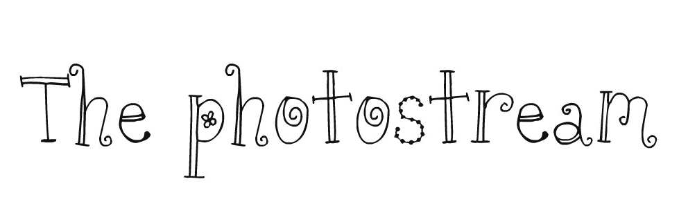 The photostream
