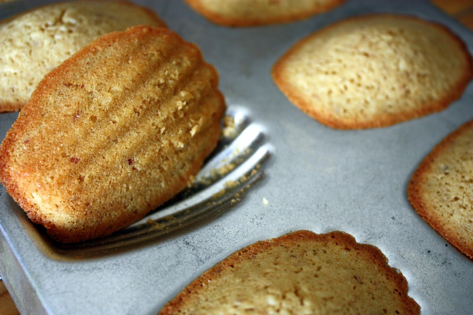 we eat. happy. coconut & almond madeleine cookies.