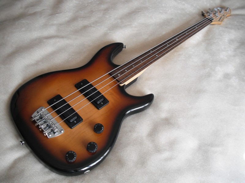 Flat Eric's Bass & Guitar Collection Fender Jazz and Peavey Foundation