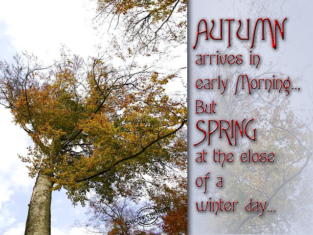 Autumn Quotes And Images4