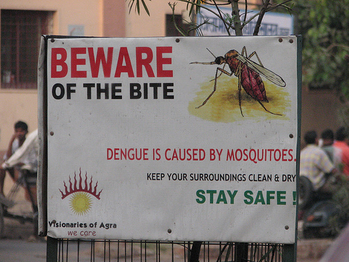 Dengue Disease