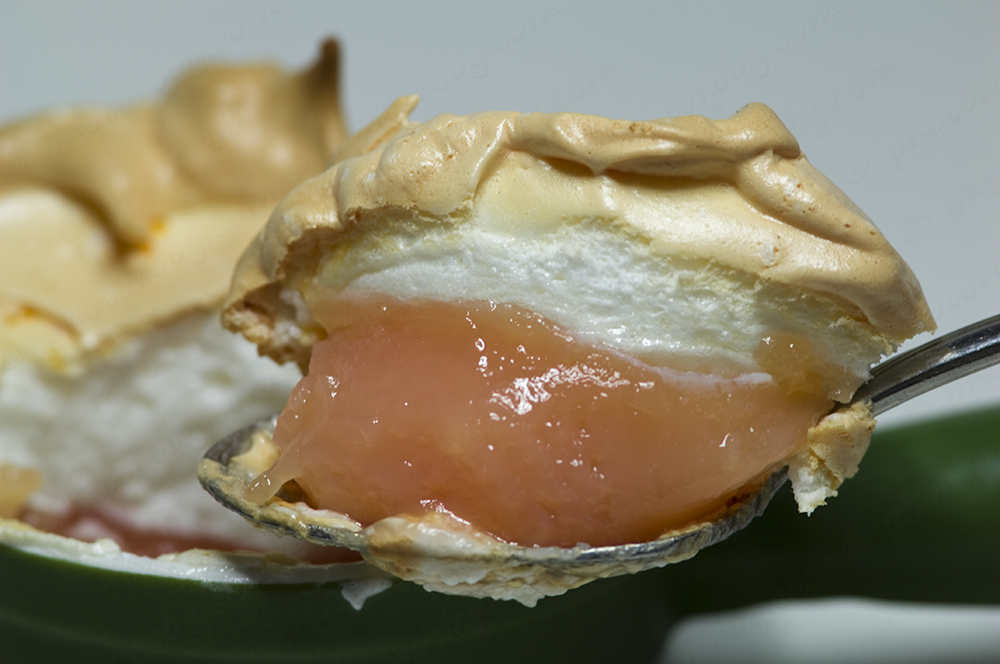 The 3 Foragers Foraging for Wild, Natural, Organic Food Sumac Recipe