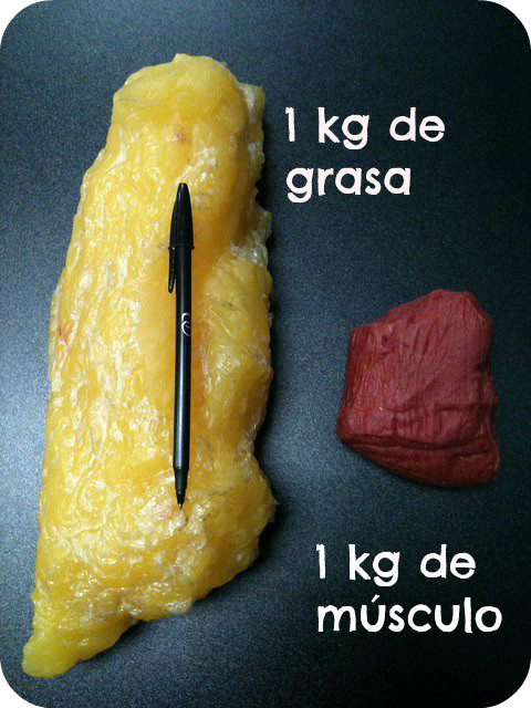 Que tomar para adelgazar sin dejar de comer olvides hidratarte que tomar para adelgazar sin dejar de comer