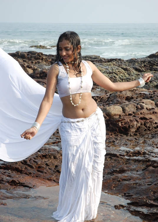 Madhavi Latha Hot in White Saree