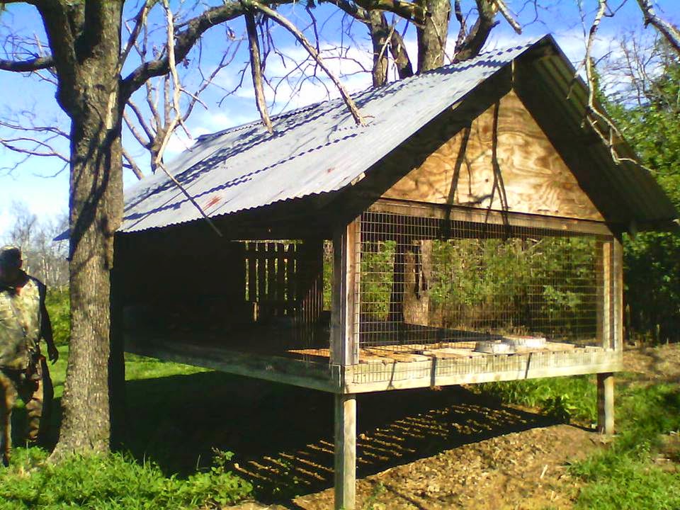 Wilson Bros Beagles Kennels