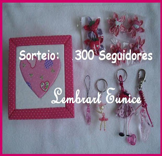 300 seguidores