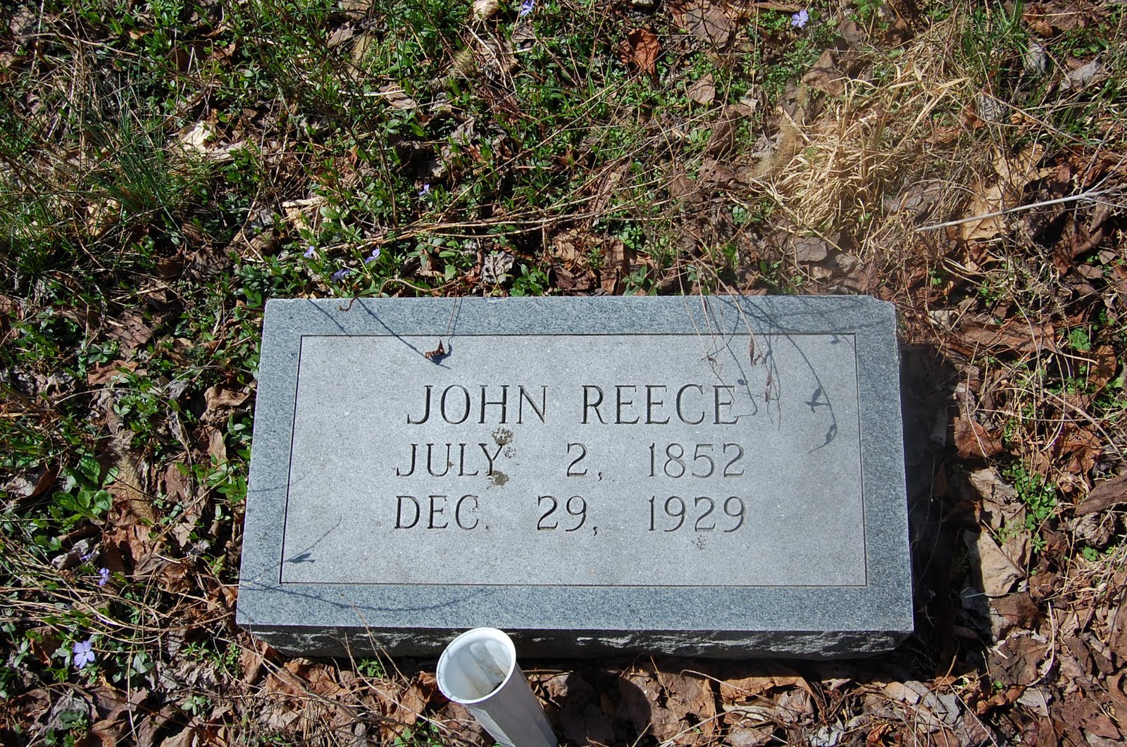 Dancing in the Gardens of Those Gone Before John Reece Cemetery