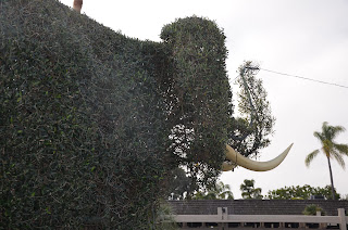 Elephant shaped bush