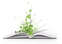 A natureza é o único livro que oferece um conteúdo  valioso em todas as suas folhas.