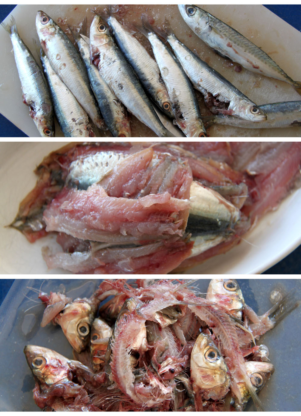 حيلة ذكية للتخلص من رائحة بقايا غسل السمك لمدة تقارب الشهر  2011-10-23-sardines+sous+sel