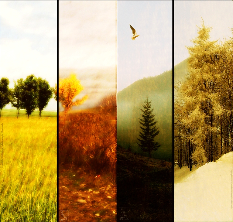 Dört Mevsim mervedemirel