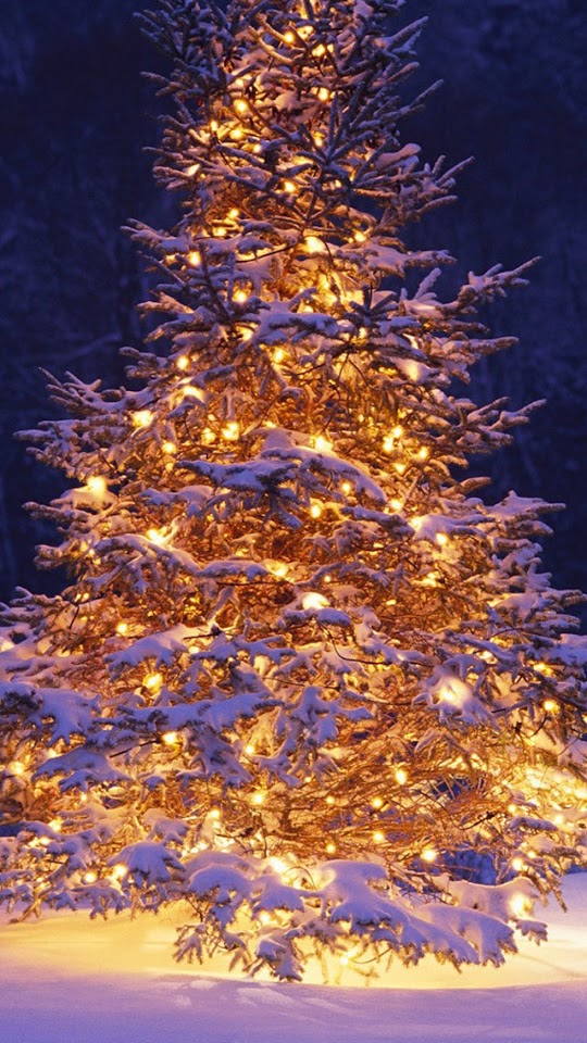   Christmas Tree In Snow   Android Best Wallpaper