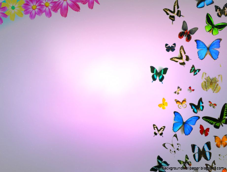 butterflies and flowers butterflies and flowers