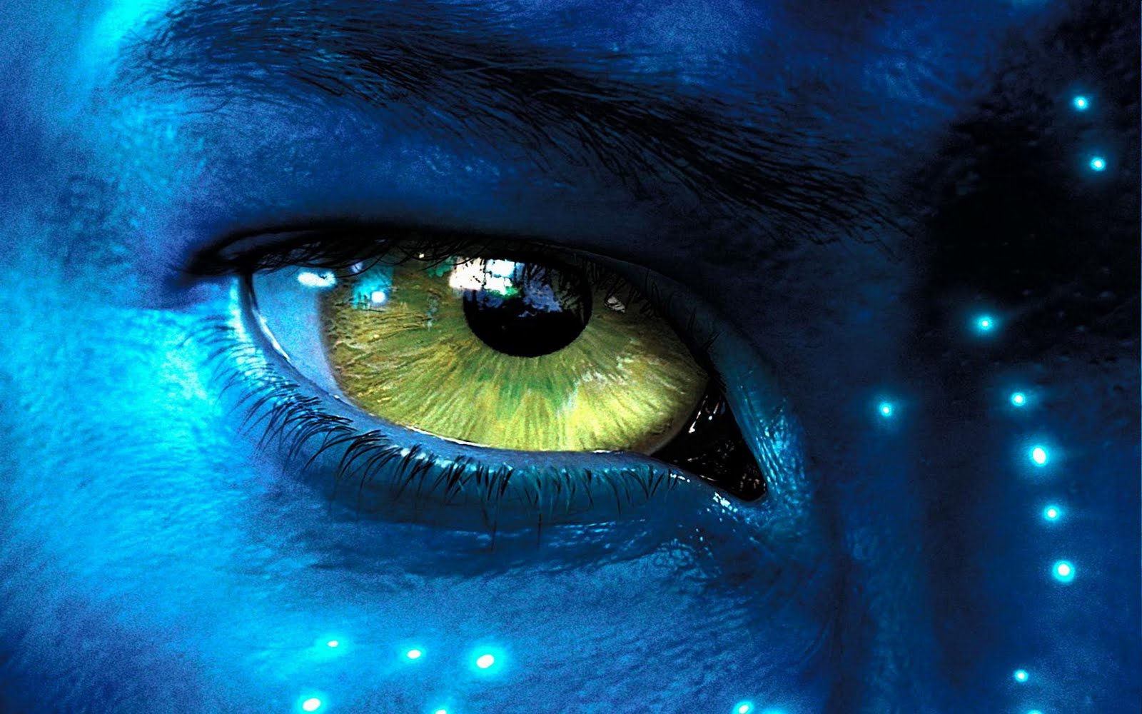 http://3.bp.blogspot.com/-x2iDwLe_BsA/TlaEP0MP4jI/AAAAAAAAG1Y/k1g5RcEkJ7A/s1600/avatar-wallpaper.jpg