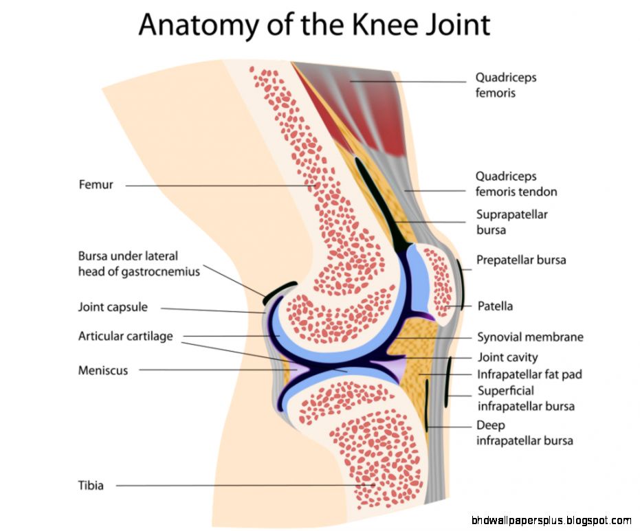 Knee Pain from a Different Angle Synergy Fitness for Her Knee Pain from a Different Angle Synergy Fitness for Her