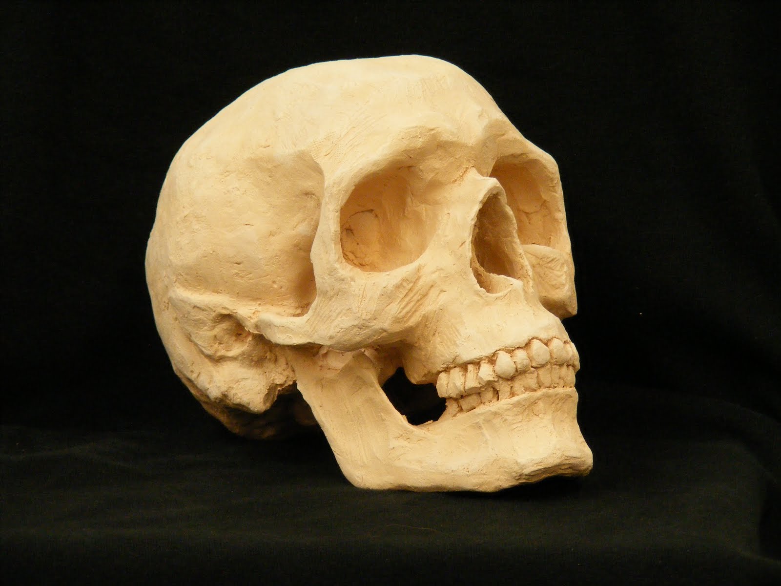 Travis J Wagner: Skull Sculpture