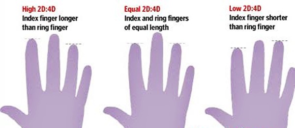 2d 4d ratio 2d 4d ratio