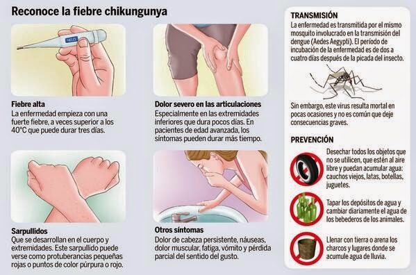 Suben a 38 los pacientes que tienen chikungunya