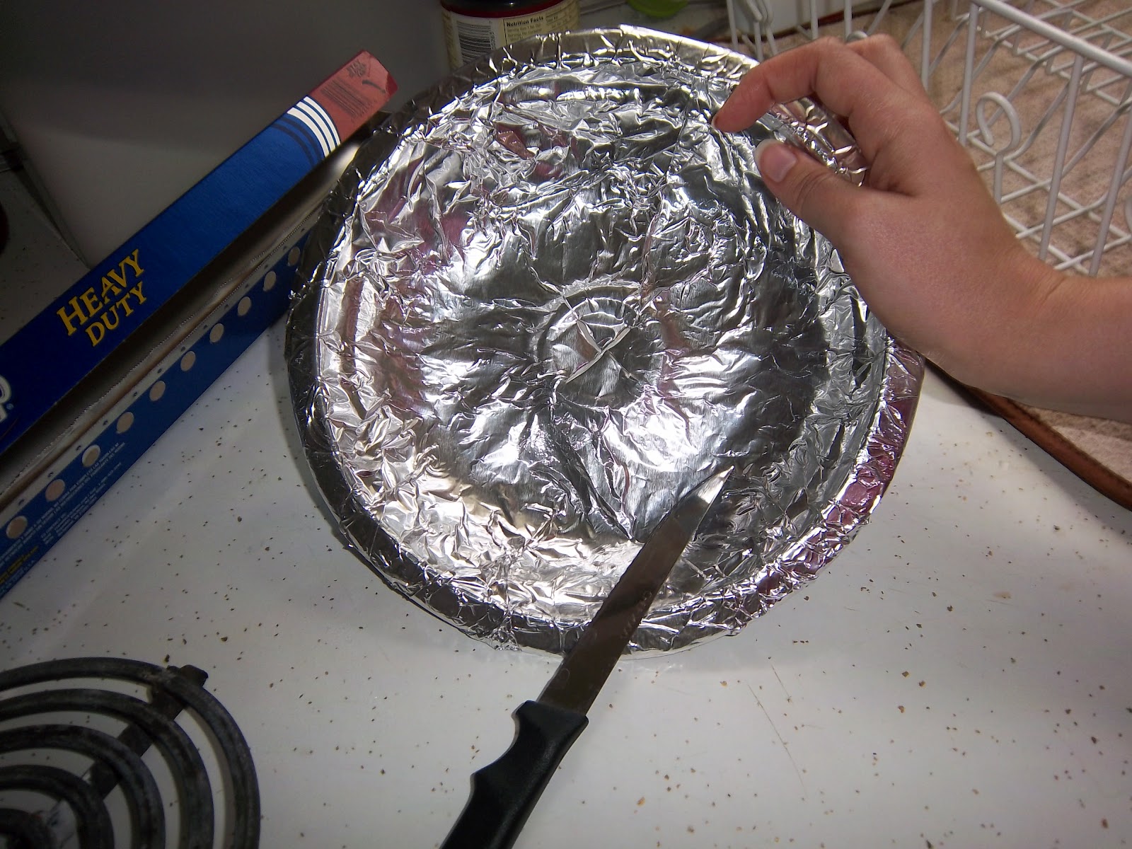 How To Wrap Foil Around Springform Pan at Margarito Bryant blog